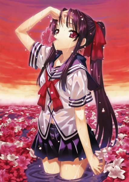 Anime picture 2237x3148 with matsuryuu single long hair tall image highres red eyes purple hair ponytail wet mouth hold evening sunset flower in mouth girl flower (flowers) serafuku