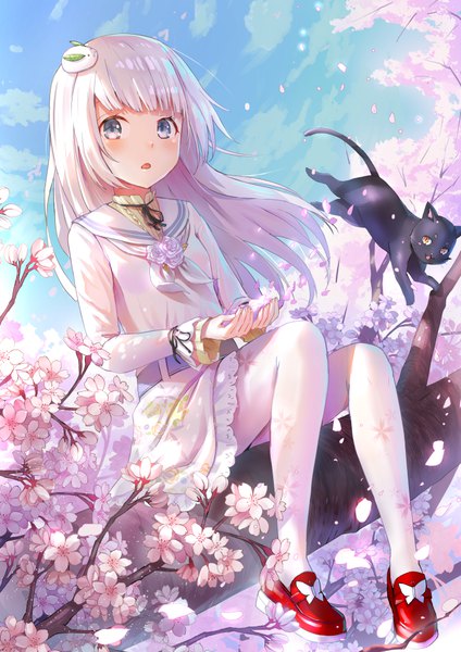 Anime picture 707x1000 with original qian wu atai single long hair tall image looking at viewer blush open mouth blue eyes sitting white hair cherry blossoms girl dress hair ornament flower (flowers) animal petals cat