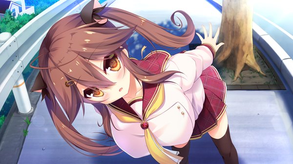 Anime picture 2560x1440 with watashi ga suki nara "suki" tte itte! yataka chiho syroh single long hair looking at viewer blush fringe highres breasts open mouth brown hair wide image twintails brown eyes animal ears game cg ahoge outdoors head tilt