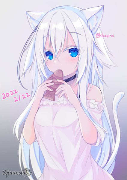 Anime picture 566x800 with original luna shuverutse yamine kuro single long hair tall image looking at viewer fringe blue eyes simple background hair between eyes signed animal ears silver hair upper body tail animal tail cat ears grey background cat girl