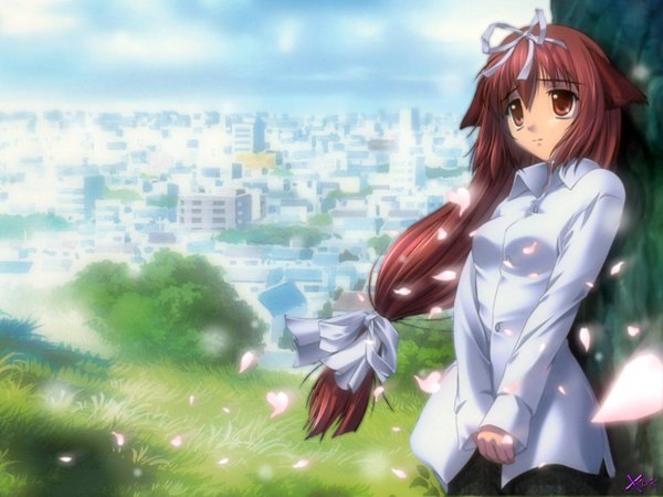 Anime picture 1600x1200 with da capo sagisawa yoriko nanao naru single red eyes brown hair looking away cat girl city low ponytail cityscape third-party edit against tree girl plant (plants) shirt petals tree (trees) white shirt grass