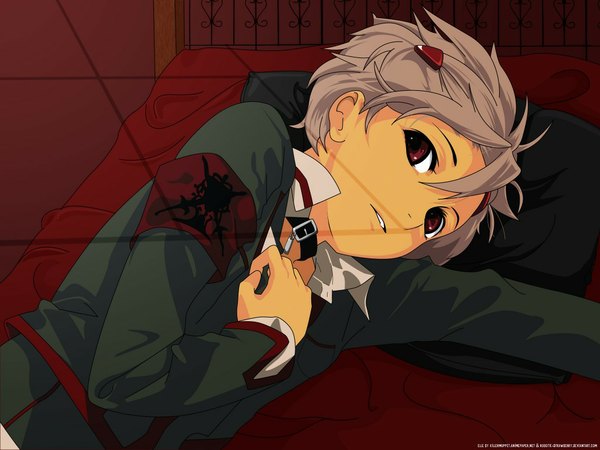 Anime picture 1024x768 with goulart knights purple eyes grey hair boy hair ornament bed hairpin (hairpins)