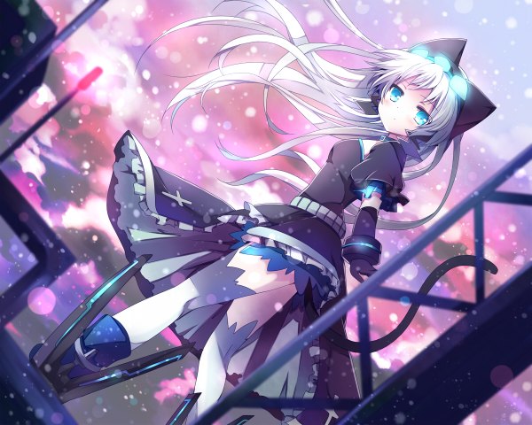 Anime picture 1200x960 with original mishima kurone single long hair blue eyes animal ears white hair tail wind girl thighhighs petals