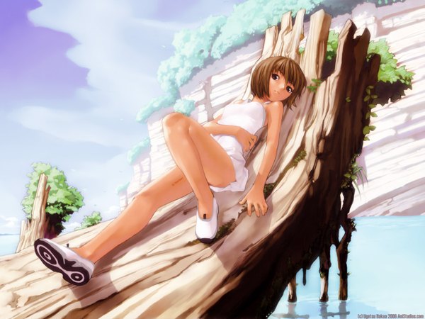 Anime picture 1600x1200 with hakua ugetsu short hair brown hair brown eyes lying legs tree sitting plant (plants) tree (trees)
