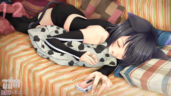 Anime-Bild 1920x1080 mit loveless j.c. staff aoyagi ritsuka nico (nicool) single blush highres short hair black hair wide image signed animal ears tail lying parted lips animal tail cat ears cat tail twitter username on side