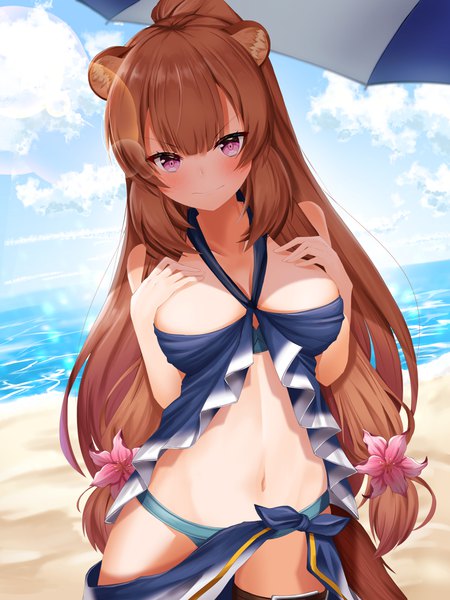 Anime picture 3000x4000 with tate no yuusha no nariagari kinema citrus raphtalia lancheu single long hair tall image looking at viewer blush fringe highres breasts light erotic brown hair standing animal ears sky cloud (clouds) outdoors ponytail