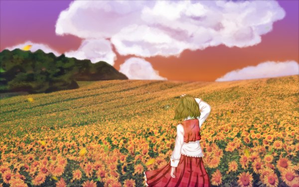 Anime picture 1200x750 with touhou kazami yuuka single short hair blonde hair wide image sky cloud (clouds) from behind back field girl dress skirt skirt set sunflower