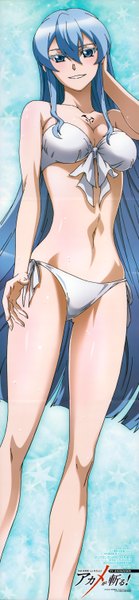 Anime picture 1400x6038 with akame ga kill! white fox esdeath nakamura kazuhisa single long hair tall image looking at viewer blush breasts blue eyes light erotic smile hair between eyes blue hair girl navel swimsuit bikini white bikini