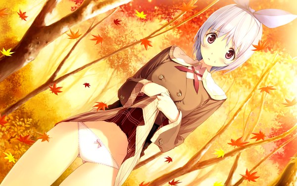 Anime picture 1024x640 with akizora ni mau confetti kamishiro yuki (akizora) short hair light erotic red eyes wide image blue hair game cg girl underwear panties serafuku leaf (leaves)