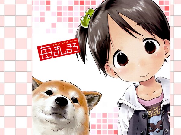 Anime picture 1024x768 with ichigo mashimaro itou chika dog tagme