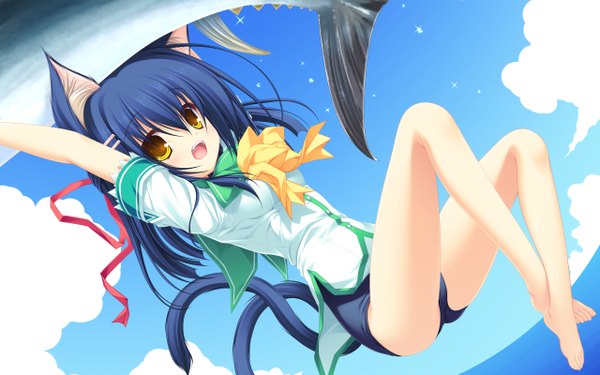 Anime picture 2560x1600 with neko koi! whirlpool (studio) kiryuu sakuya mikagami mamizu highres wide image animal ears yellow eyes blue hair tail cat girl girl fish (fishes)