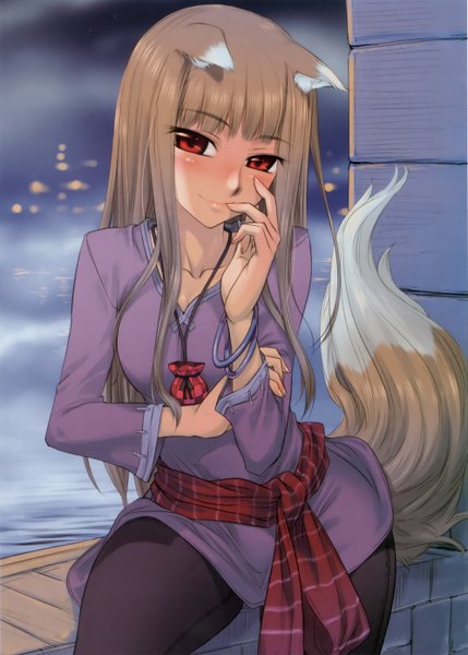 Anime picture 1990x2784 with spice and wolf horo koume keito single long hair tall image blush highres smile red eyes brown hair sitting animal ears animal tail finger to mouth wolf ears wolf tail wolf girl fog cropped