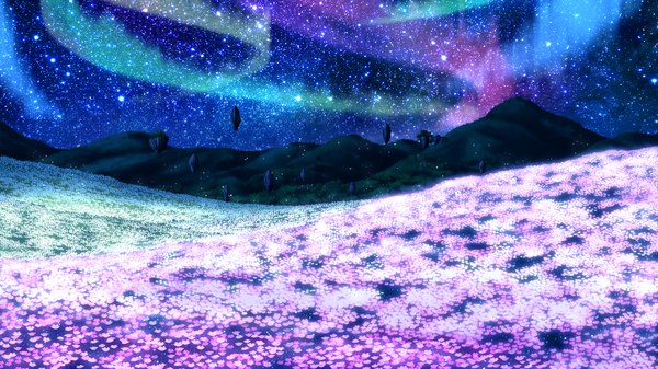 Anime picture 2048x1152 with guardian place skyfish (studio) highres wide image game cg night mountain landscape field aurora borealis flower (flowers) star (stars)