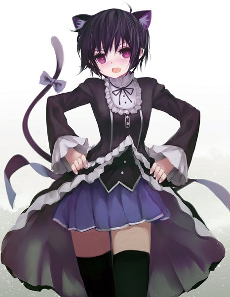 Anime picture 778x1000 with original pixiv fantasia pixiv fantasia t zen33n single tall image short hair black hair purple eyes animal ears tail animal tail cat ears cat tail zettai ryouiki tail ribbon girl thighhighs skirt ribbon (ribbons)