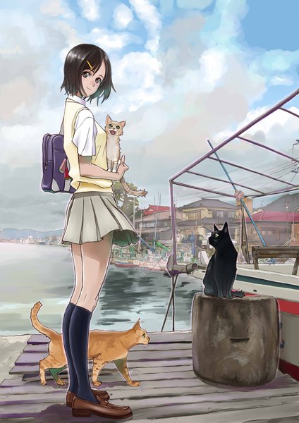 Anime picture 2480x3507 with original manbou (manvow) single tall image highres short hair black hair brown eyes girl skirt hair ornament miniskirt animal water bobby pin cat school bag