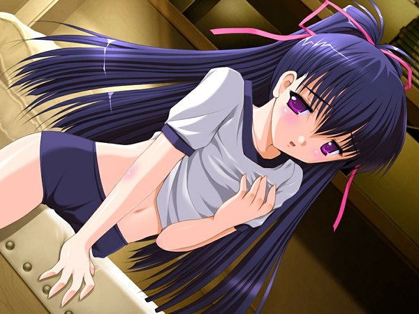 Anime picture 1024x768 with puchi puchi gohoushi fukada satsuki louis&visee long hair light erotic game cg purple hair pink eyes crotch rub girl uniform gym uniform