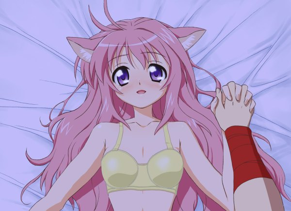 Anime-Bild 1379x1000 mit dog days millhiore f biscotti zouni (xavier) long hair light erotic purple eyes pink hair lying dog ears girl