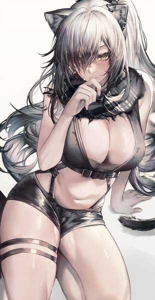 Anime picture 776x1500 with arknights schwarz (arknights) solfi0211 single long hair tall image looking at viewer fringe breasts light erotic simple background large breasts white background sitting animal ears yellow eyes tail animal tail arm up grey hair