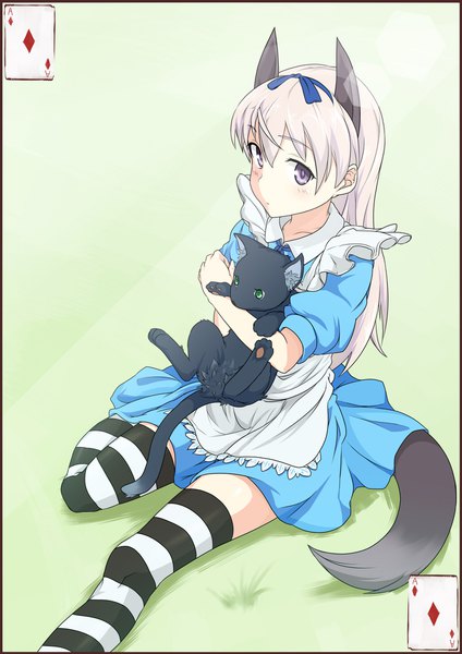 Anime picture 1446x2046 with strike witches alice in wonderland alice (alice in wonderland) eila ilmatar juutilainen ashuku single long hair tall image looking at viewer blush fringe simple background hair between eyes sitting animal ears bent knee (knees) tail animal tail grey hair grey eyes