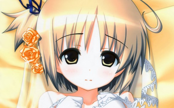 Anime picture 1920x1200 with yotsunoha nekomiya nono highres wide image close-up