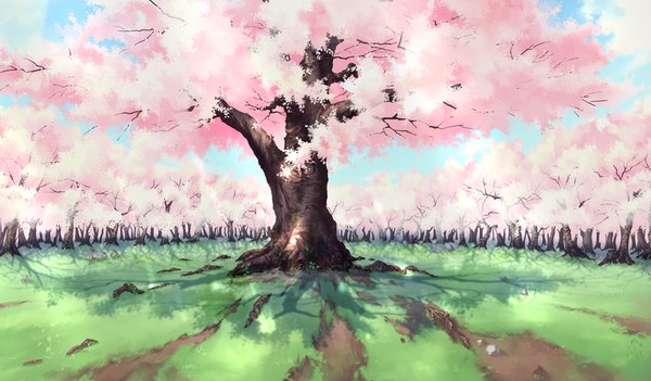 Anime picture 1024x600 with da capo iii wide image game cg sky cloud (clouds) cherry blossoms no people landscape plant (plants) tree (trees)