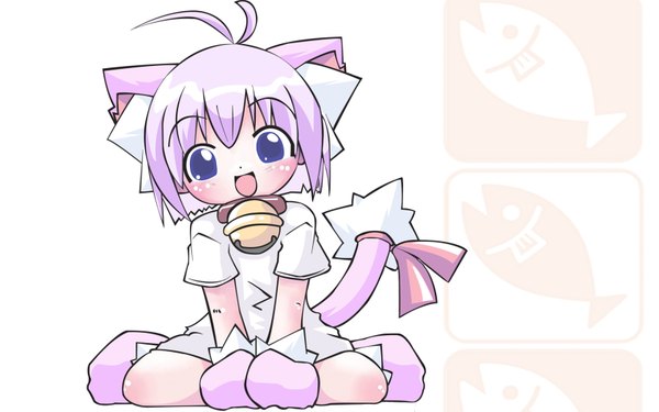 Anime picture 1680x1050 with wide image purple hair cat girl girl