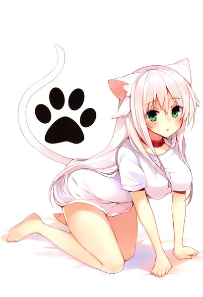 Anime picture 2345x3436 with original anceril sacred mishima kurone single long hair tall image looking at viewer blush highres breasts light erotic green eyes animal ears white hair tail animal tail cat ears scan bare legs cat girl
