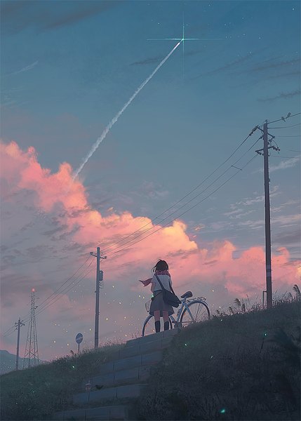 Anime picture 800x1119 with original guweiz single long hair tall image short hair brown hair standing sky cloud (clouds) outdoors from behind sparkle short sleeves back evening girl skirt plant (plants) scarf