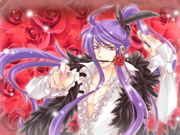 Anime picture 1200x900 with vocaloid kamui gakupo haru aki purple eyes purple hair nail polish boy flower (flowers) rose (roses) feather (feathers)