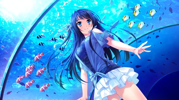 Anime picture 1280x720 with natsu no iro no nostalgia moonstone manazuru misaki yamakaze ran single long hair blush blue eyes black hair wide image game cg light smile girl dress animal fish (fishes) aquarium