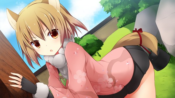 Anime picture 1280x720 with sengoku hime 5 looking at viewer short hair open mouth red eyes brown hair wide image animal ears game cg tail animal tail girl skirt gloves fingerless gloves