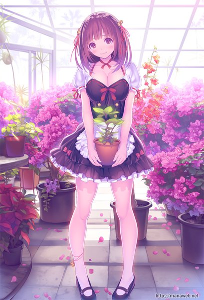 Anime picture 546x800 with original mana kakkowarai single tall image looking at viewer blush short hair breasts smile brown hair large breasts standing holding brown eyes light smile short sleeves puffy sleeves girl dress flower (flowers)