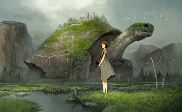 Anime picture 1950x1200 with original yoshida seiji looking at viewer highres short hair brown hair wide image standing brown eyes sky cloud (clouds) full body outdoors bare legs short sleeves mountain expressionless scenic bare tree rock