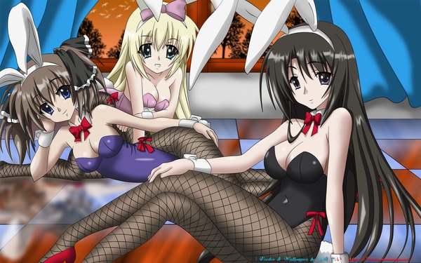 Anime picture 1920x1200 with seitokai no ichizon shiina mafuyu akaba chizuru shiina minatsu highres light erotic wide image multiple girls bunny ears bunny girl cosplay girl 3 girls bunnysuit