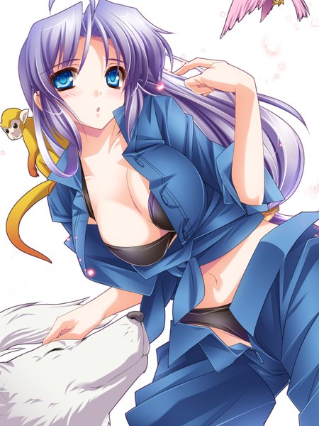 Anime picture 1200x1600 with original moneti (daifuku) long hair tall image looking at viewer breasts blue eyes light erotic simple background white background purple hair open clothes open shirt girl underwear panties animal lingerie bra black panties