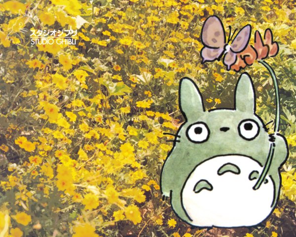 Anime picture 1280x1024 with tonari no totoro studio ghibli totoro insect butterfly