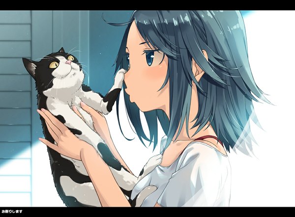 Anime picture 1025x755 with original kimura (ykimu) single short hair blue eyes black hair looking away upper body ahoge profile letterboxed girl cat