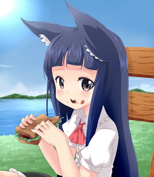 Anime picture 869x1000 with sword art online a-1 pictures yui (sao) noa (nagareboshi) single long hair tall image looking at viewer blush fringe open mouth sitting animal ears blue hair sunlight short sleeves grey eyes puffy sleeves fox ears tears