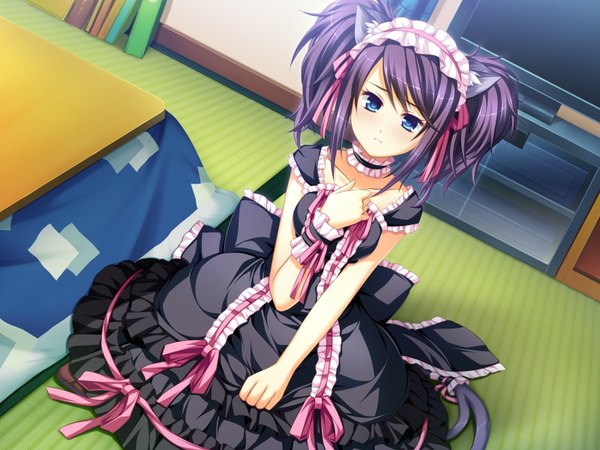 Anime picture 1600x1200 with otomimi infinity (game) suzune mayoi short hair blue eyes animal ears game cg purple hair cat ears cat tail loli girl dress