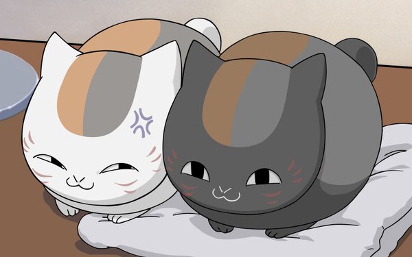 Anime picture 1680x1050 with natsume yuujinchou brains base (studio) madara (nyanko-sensei) riou (natsume yuujinchou) dearowl1 wide image couple vector animal cat