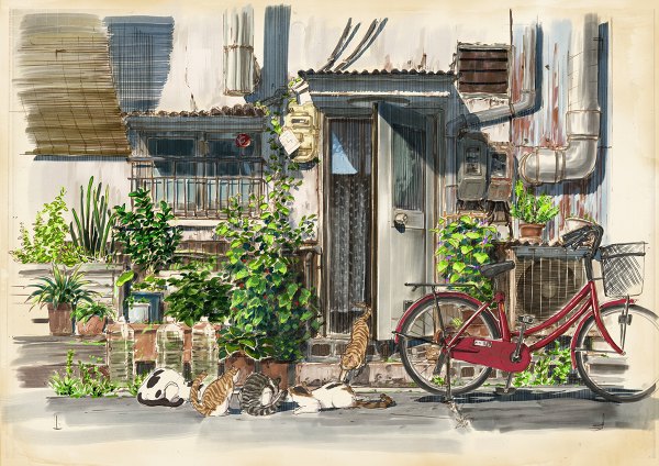 Anime picture 1200x848 with original yokoya no people plant (plants) animal window building (buildings) curtains cat bottle ground vehicle wire (wires) house door bicycle