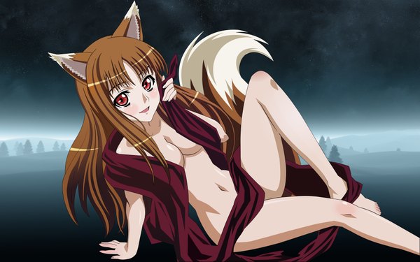 Anime picture 1920x1200 with spice and wolf horo highres light erotic wide image