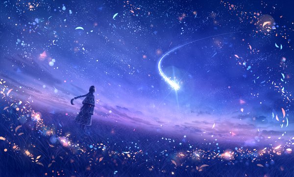 Anime picture 1241x750 with original bounin single black hair wide image braid (braids) wind from behind dutch angle single braid shooting star field morning girl plant (plants) petals star (stars) grass