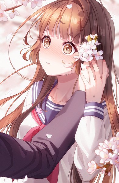 Anime picture 800x1230 with original unjem long hair tall image blush fringe brown hair brown eyes looking away upper body blunt bangs long sleeves mole sweat embarrassed mole under eye cherry blossoms solo focus hand on another's face girl