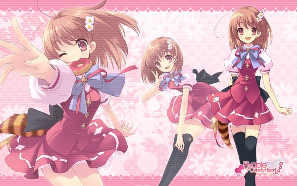 Anime picture 1920x1200 with flyable heart tagme (character) itou noiji single highres open mouth red eyes brown hair wide image animal tail one eye closed hair flower wink mouth hold girl thighhighs hair ornament bow black thighhighs food