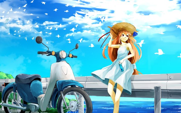 Anime picture 1920x1200 with touhou ibuki suika nishiuri (artist) single long hair highres red eyes brown hair wide image cloud (clouds) horn (horns) girl hat animal sea bird (birds) sundress ground vehicle motorcycle scooter