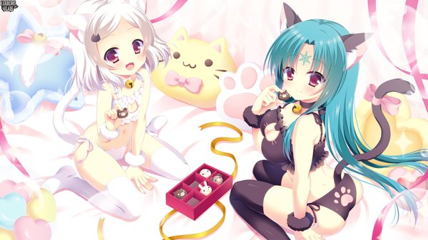 Anime picture 1920x1080 with kerberos blade yuyumatsu long hair looking at viewer blush highres short hair breasts open mouth light erotic red eyes wide image multiple girls animal ears blue hair white hair tail animal tail cat ears cat girl