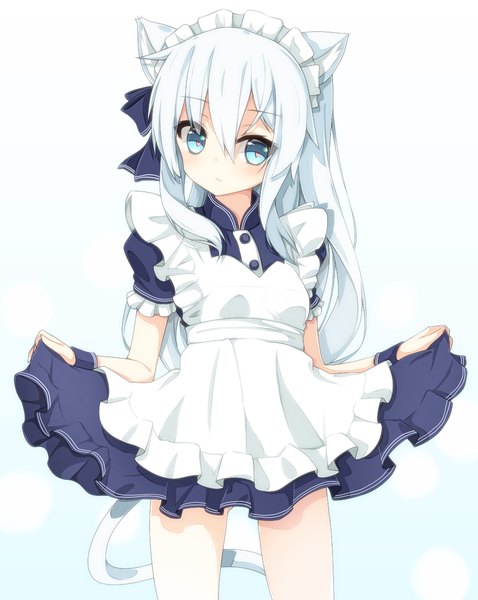 Anime picture 956x1199 with kantai collection hibiki destroyer rateratte single long hair tall image blush fringe blue eyes simple background hair between eyes standing white background holding animal ears payot looking away ahoge white hair tail