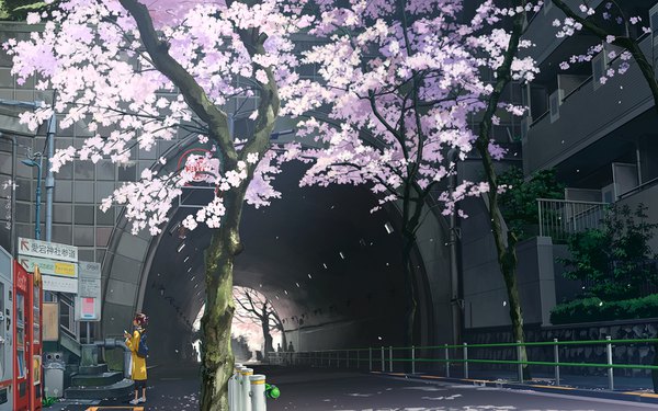 Anime picture 1440x900 with original kusakabe (artist) single short hair brown hair standing holding full body outdoors ponytail profile cherry blossoms city scenic girl plant (plants) petals tree (trees) glasses building (buildings)