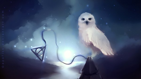 Anime picture 1920x1080 with harry potter apofiss single highres wide image cloud (clouds) wallpaper river gloom animal bird (birds) roof owl